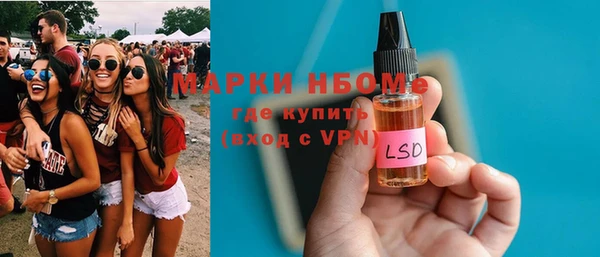 мдпв Горнозаводск