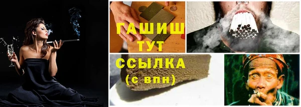 дмт Горно-Алтайск