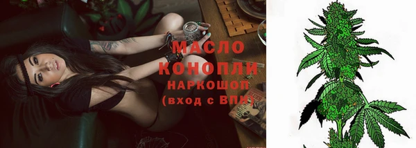 ECSTASY Горняк