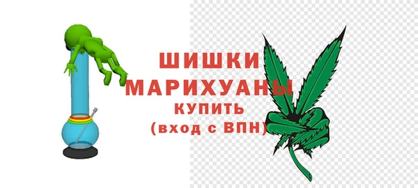мдпв Горнозаводск