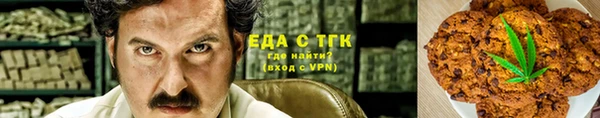 ECSTASY Горняк