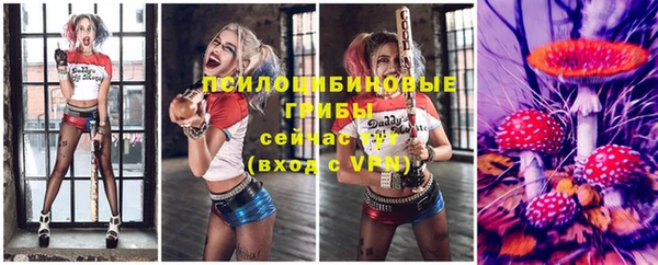 дмт Горно-Алтайск