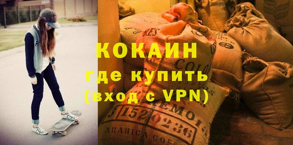 ECSTASY Горняк