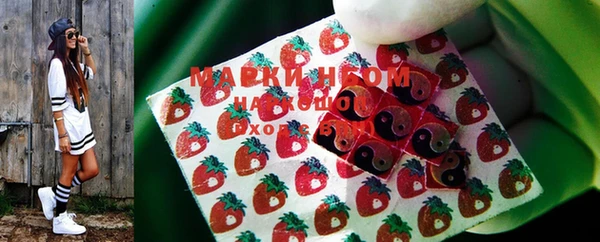 ECSTASY Горняк