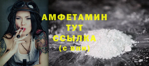 ECSTASY Горняк
