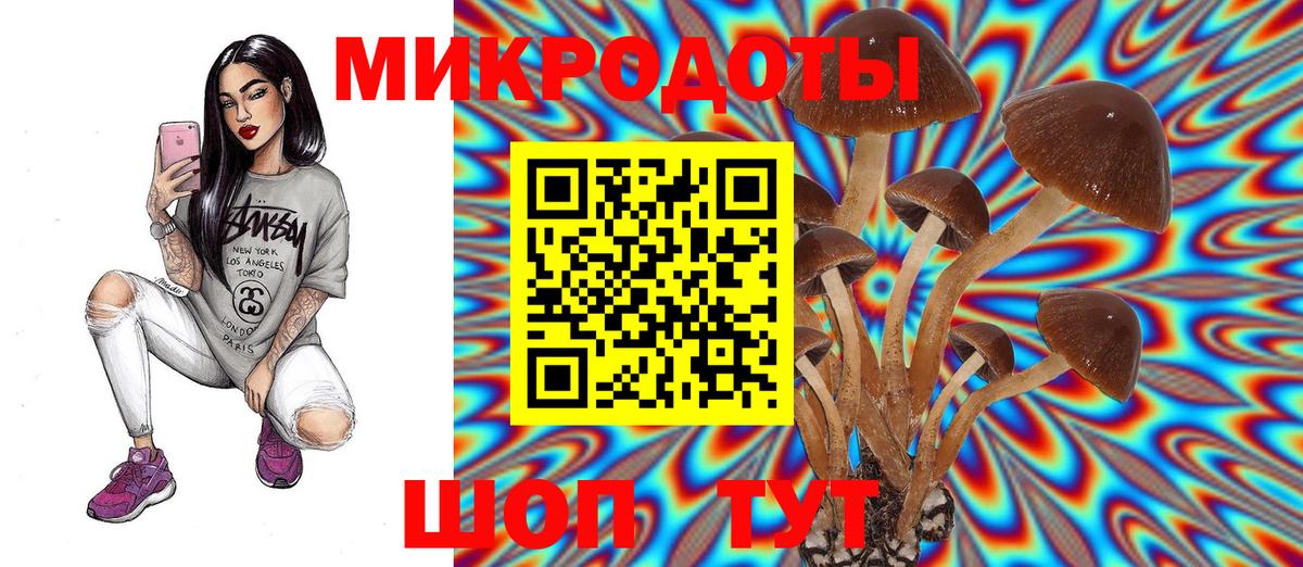 Галлюциногенные грибы Cubensis  Вход с VPN  Дивногорск 