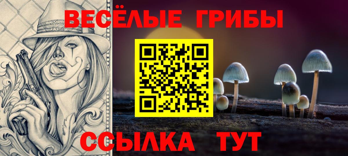 Галлюциногенные грибы MAGIC MUSHROOMS Дивногорск